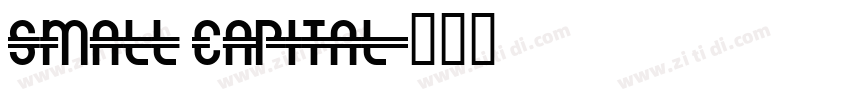 SMALL CAPITAL字体转换